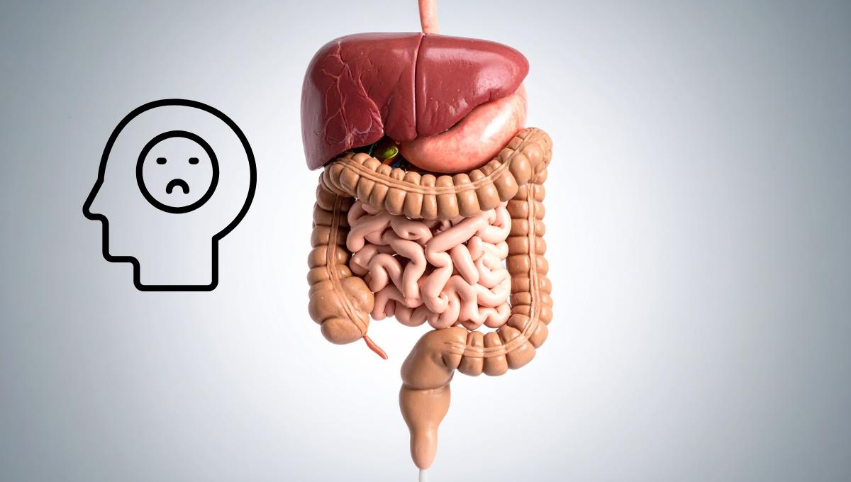 El temible descubrimiento de la relación entre el intestino y la depresión